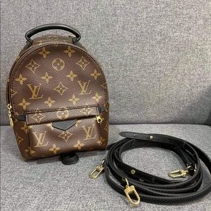 Louis Vuitton ZAINO PALM SPRINGS MINI